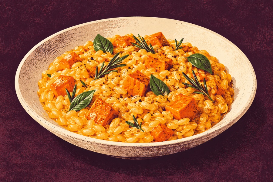 Siebdruckmotiv: Kürbis-Risotto