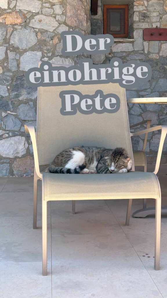 Der Einohrige Pete