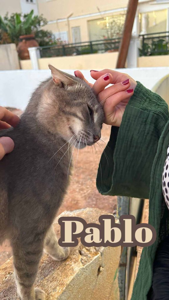 Pablo