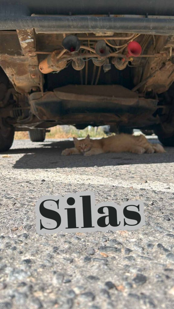 Silas