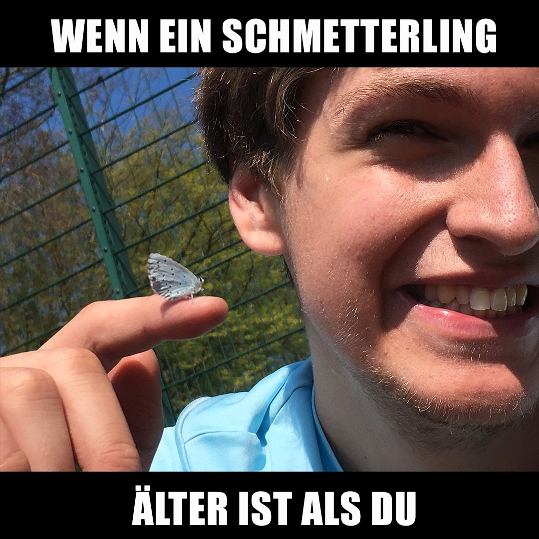 Ein Schmetterlingsjahr entspricht 119 Fap-Jahren.